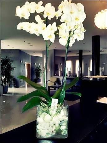 Imagen general del Hotel El Trebol, Carboneras. Foto 13