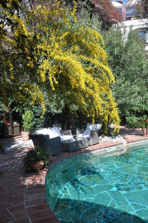 Imagen de la piscina del Hotel El Vino Suites - Special Class. Foto 14