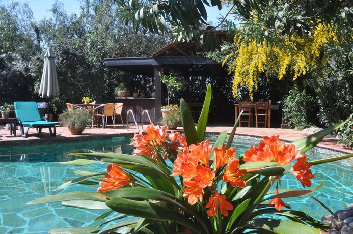 Imagen de la piscina del Hotel El Vino Suites - Special Class. Foto 16