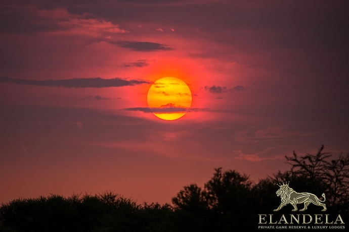 Imagen de la habitación del Hotel Elandela Private Game Reserve And Luxury Lodge. Foto 10