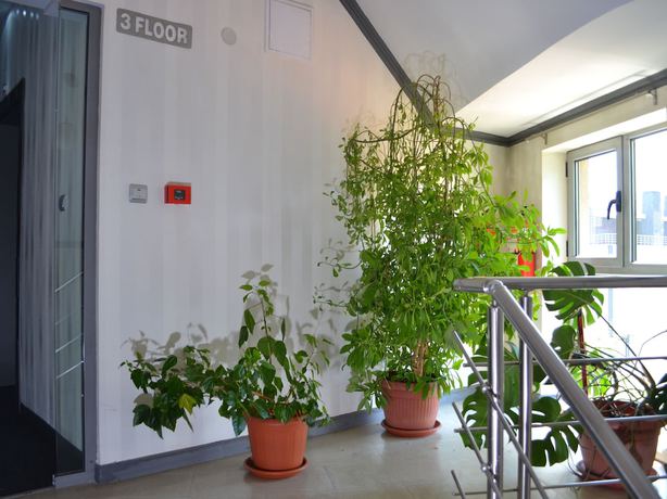 Imagen de los interiores del Hotel Elate Plaza Business. Foto 18