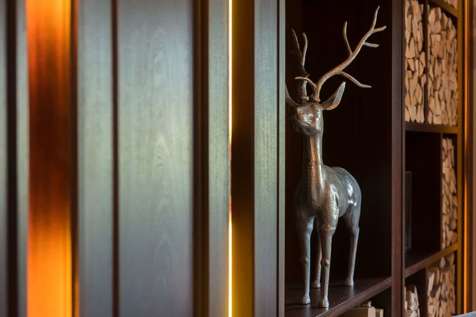 Imagen de los interiores del Hotel Elaya Steinplatte. Foto 31