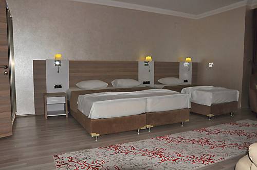 Imagen de la habitación del Hotel Elazig Sirin. Foto 3