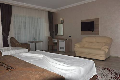 Imagen de la habitación del Hotel Elazig Sirin. Foto 5