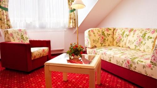 Imagen de la habitación del Hotel Elbhotel Bad Schandau. Foto 9