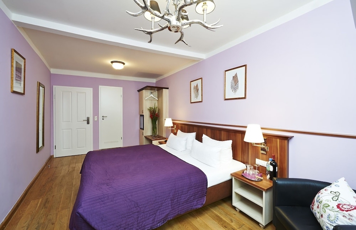 Imagen de la habitación del Hotel Elch. Foto 5