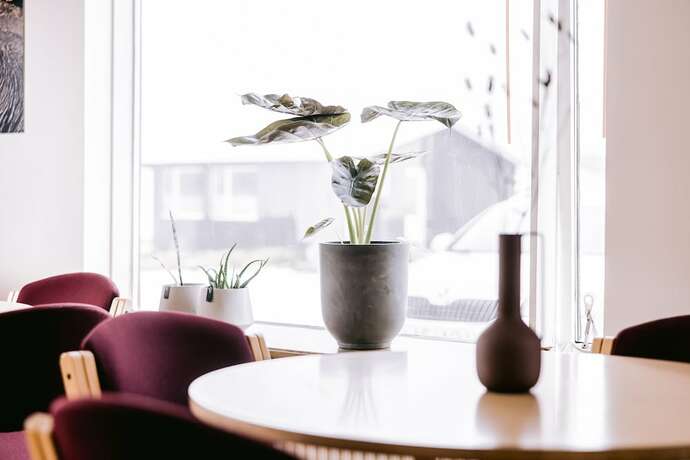 Imagen general del Hotel Eldá Guesthouse. Foto 9