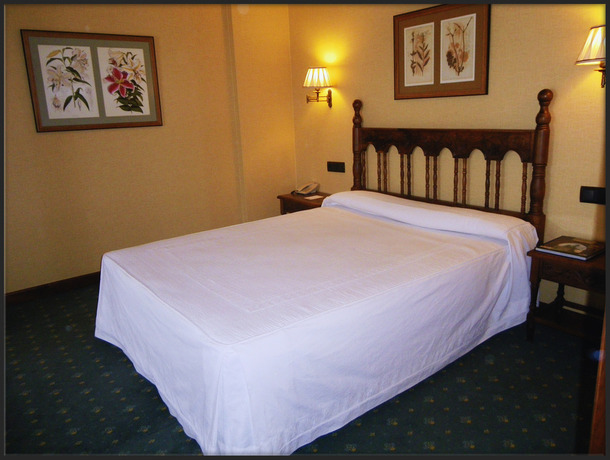 Imagen de la habitación del Hotel Ele Puente Romano. Foto 8