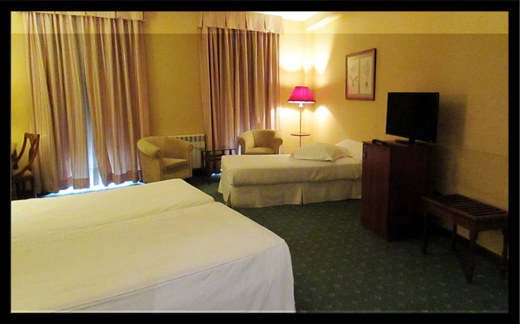 Imagen de la habitación del Hotel Ele Puente Romano. Foto 12