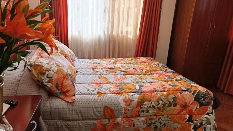 Imagen general del Hotel Elegance, La Paz. Foto 5