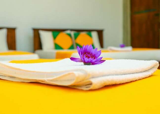 Imagen general del Hotel Elegance Range Resort. Foto 7