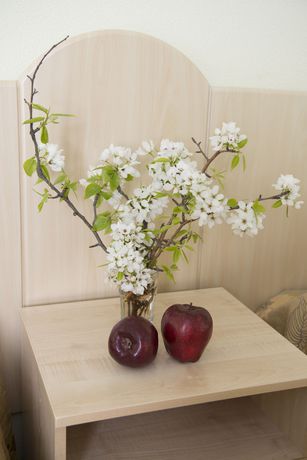 Imagen de la habitación del Hotel Elektra. Foto 5