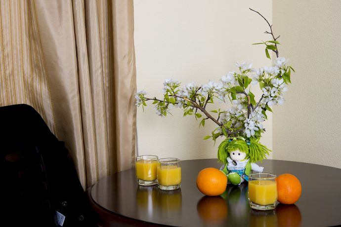 Imagen de la habitación del Hotel Elektra. Foto 7