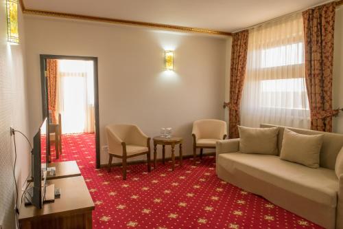 Imagen general del Hotel Elektra Vama Veche. Foto 1