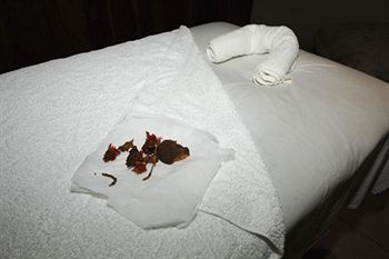 Imagen de los interiores del Hotel Elephant Hills Resort. Foto 9