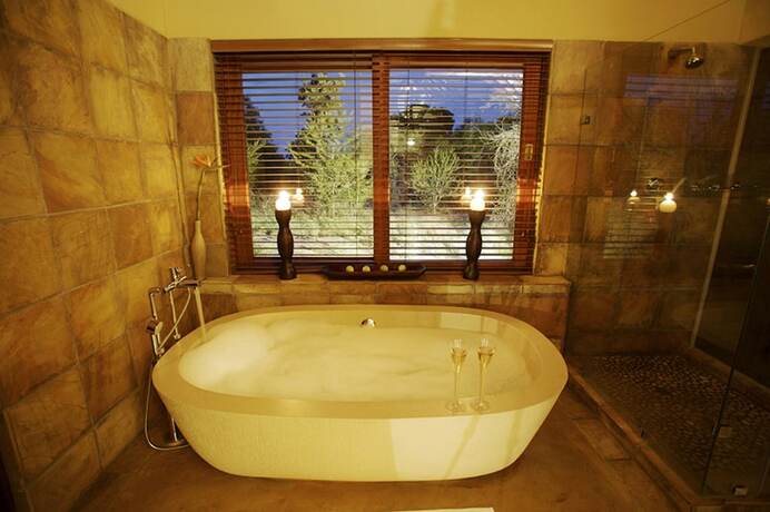 Imagen general del Hotel Elephant Plains Game Lodge. Foto 11