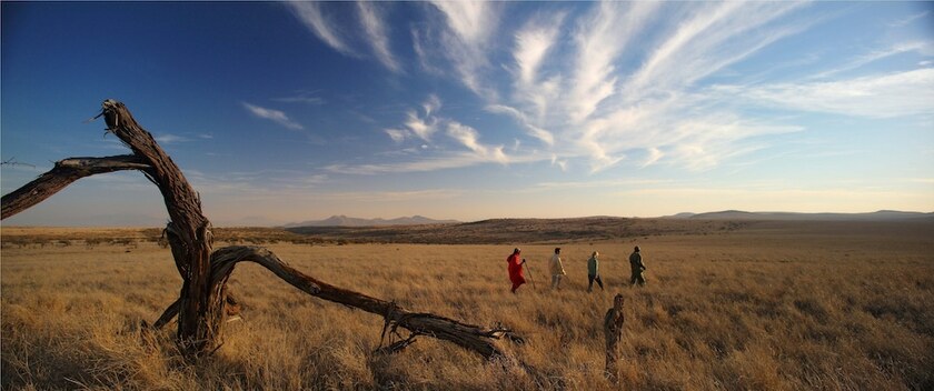 Imagen general del Hotel Elewana Lewa Safari Camp. Foto 6