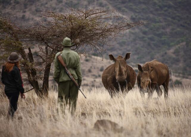 Imagen general del Hotel Elewana Lewa Safari Camp. Foto 10