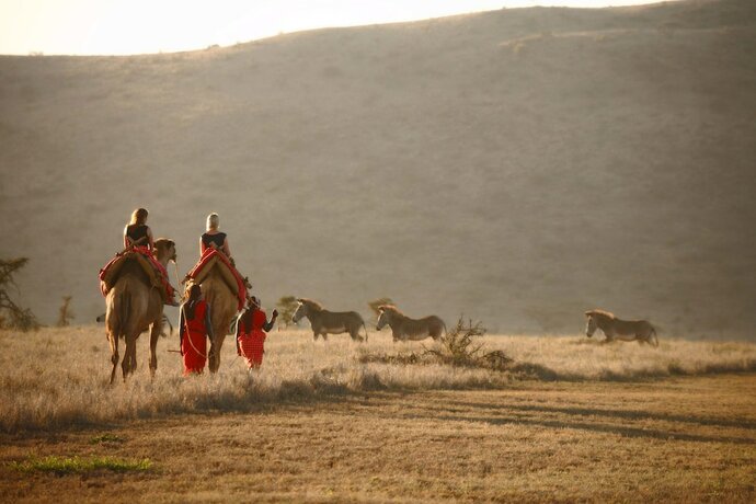 Imagen general del Hotel Elewana Lewa Safari Camp. Foto 11