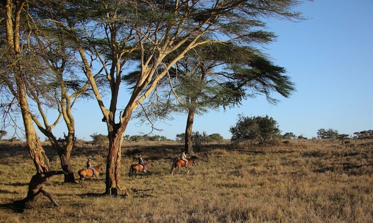 Imagen general del Hotel Elewana Lewa Safari Camp. Foto 14