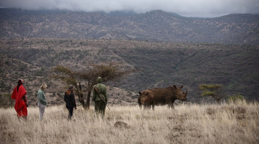 Imagen general del Hotel Elewana Lewa Safari Camp. Foto 16