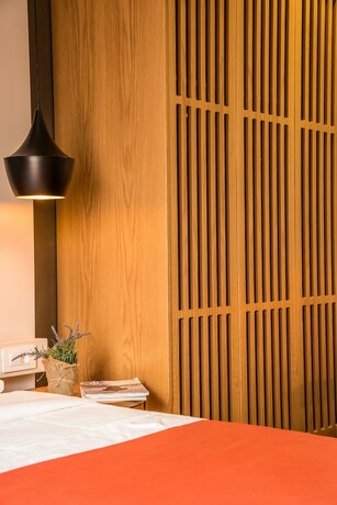 Imagen general del Hotel Elia Betolo. Foto 10