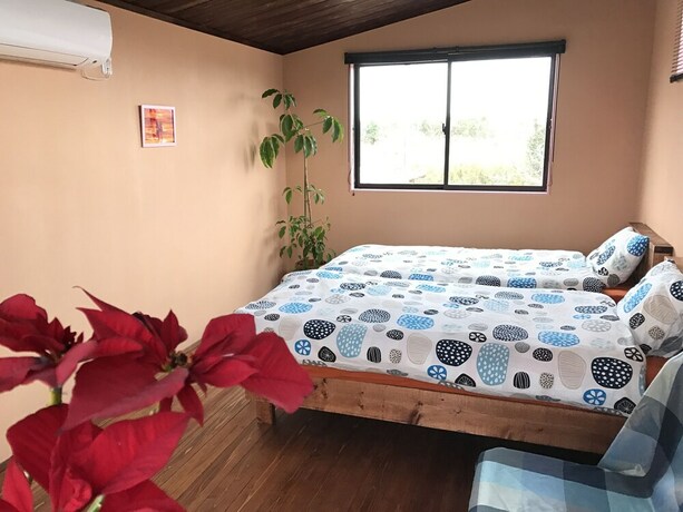 Imagen de la habitación del Hotel Elias Garden. Foto 12