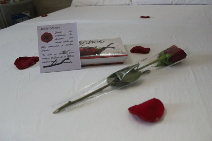 Imagen general del Hotel Elimar. Foto 14