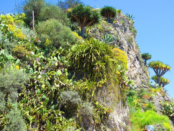 Imagen general del Hotel Elios, Taormina . Foto 5