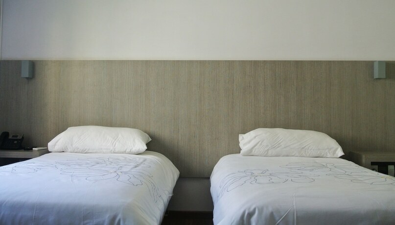 Imagen general del Hotel Elisa Cole. Foto 12