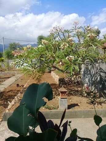 Imagen general del Hotel Eliska Sari Bungalows. Foto 6