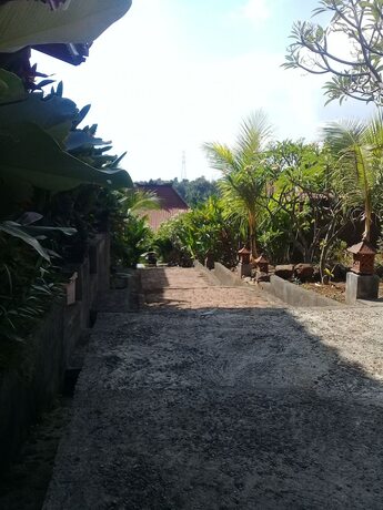 Imagen de la habitación del Hotel Eliska Sari Bungalows. Foto 31