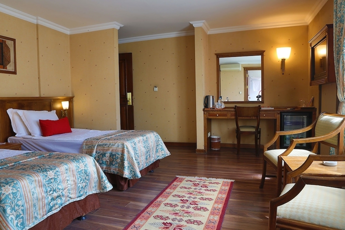 Imagen de la habitación del Hotel Elit Palas. Foto 15