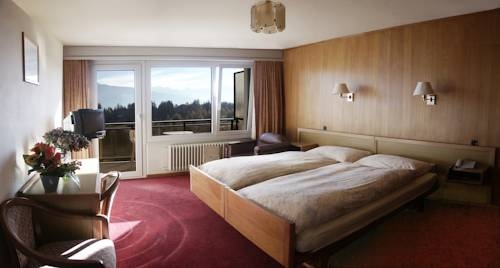 Imagen general del Hotel Elite, CRANS MONTANA . Foto 3