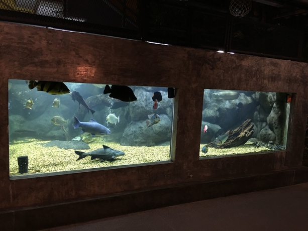 Imagen de los interiores del Hotel Elite Residence Phitsanulok. Foto 18