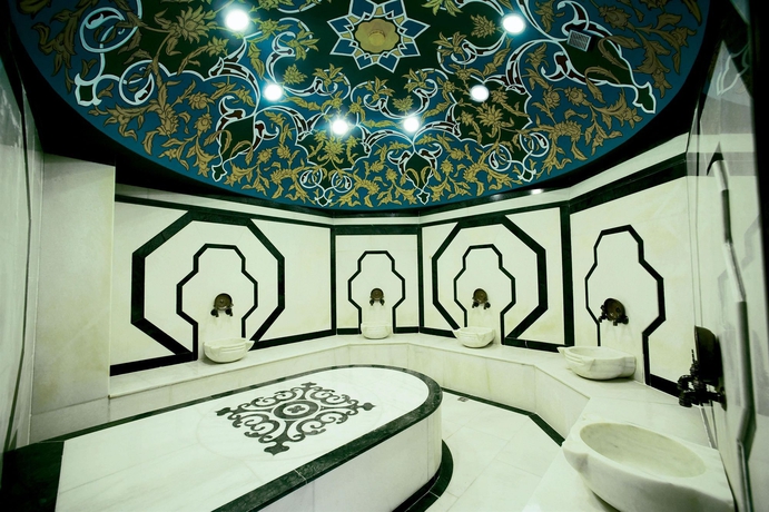 Imagen de la piscina del Hotel Elite World Comfy Taksim. Foto 15