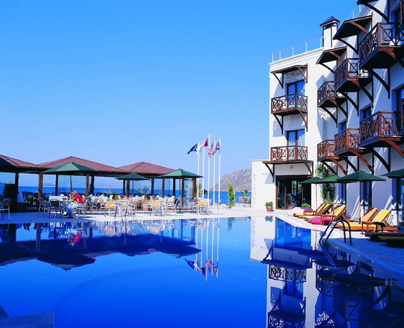 Imagen de la piscina del Hotel Elite Yalıkavak. Foto 16