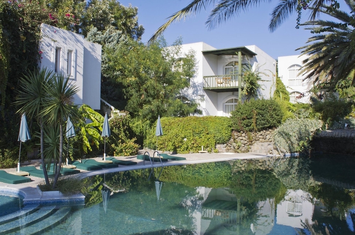 Imagen de la piscina del Hotel Elite Yalıkavak. Foto 17