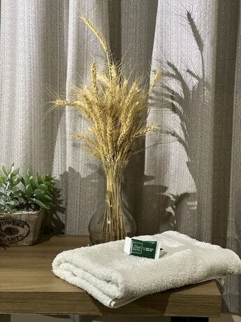 Imagen general del Hotel Elithi. Foto 6