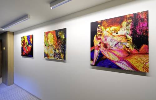 Imagen general del Hotel Elizabeth Arthotel. Foto 24