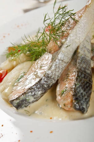 Imagen general del Hotel Elizabeth Hotel. Foto 11