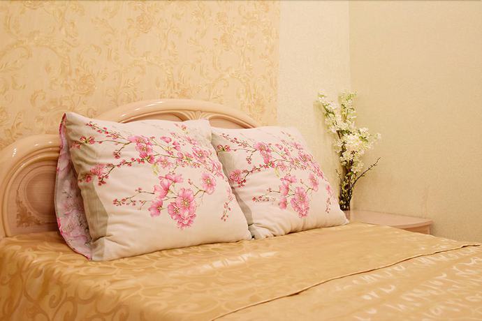 Imagen de la habitación del Hotel Eliziy. Foto 10