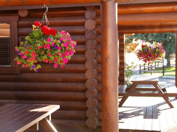 Imagen de la habitación del Hotel Elk Country Inn. Foto 11