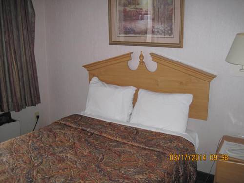 Imagen de la habitación del Hotel Elk Inn. Foto 2