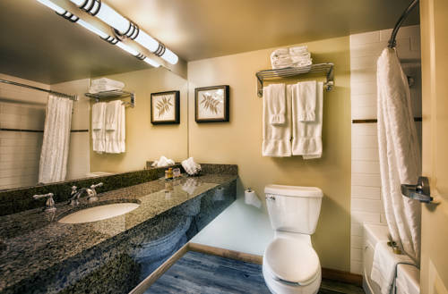Imagen de la habitación del Hotel Elk Ridge Resort. Foto 16