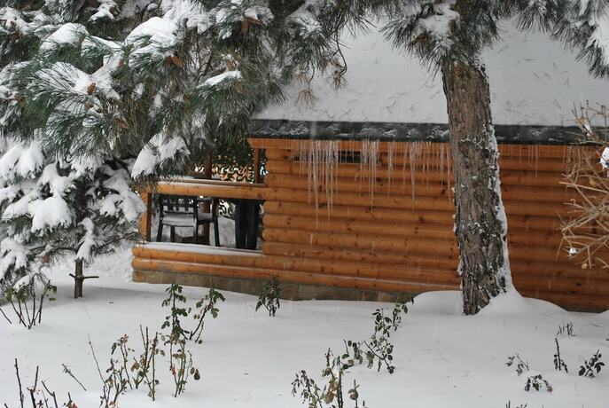 Imagen general del Hotel Elki-Palki. Foto 8