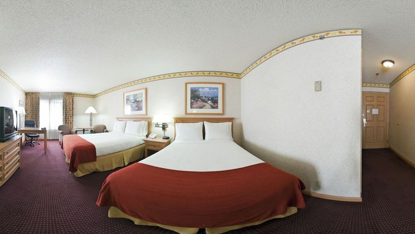 Imagen de la habitación del Hotel Elkotel. Foto 12