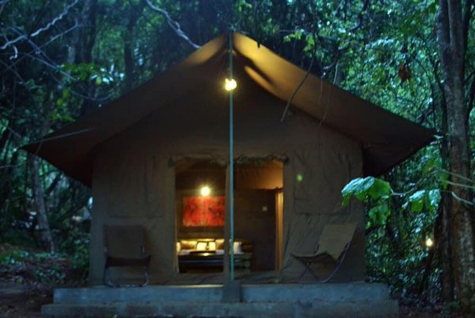 Imagen general del Hotel Ella Jungle Resort. Foto 12