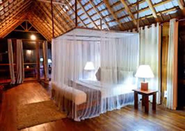 Imagen general del Hotel Ella Jungle Resort. Foto 17