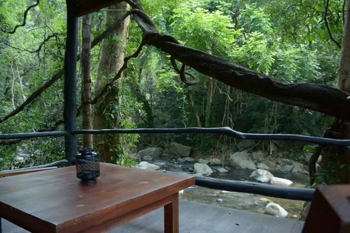 Imagen de la habitación del Hotel Ella Jungle Resort. Foto 25